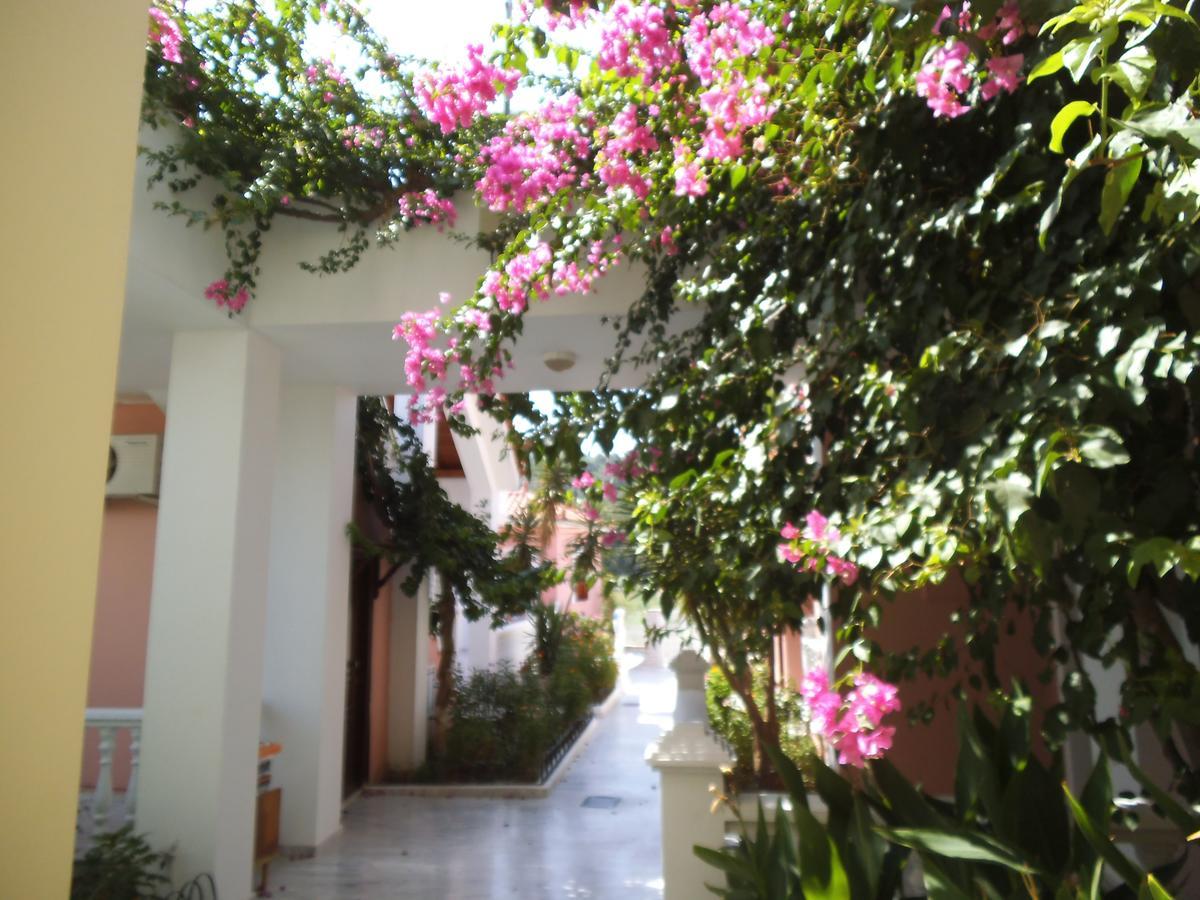Alkyon Hotel Kokkari Exterior foto