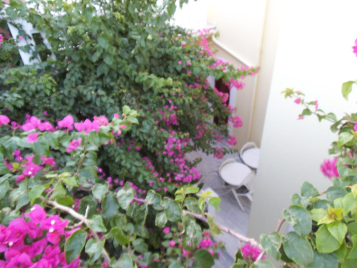 Alkyon Hotel Kokkari Exterior foto